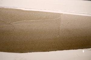 Plane Polarized, E62872