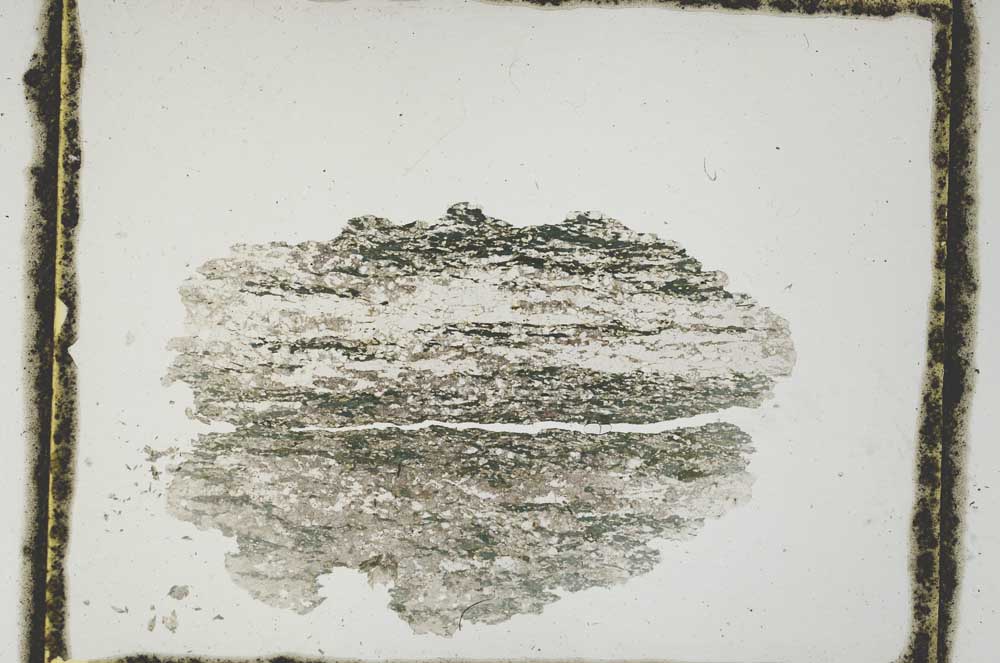 Plane Polarized, S3011
