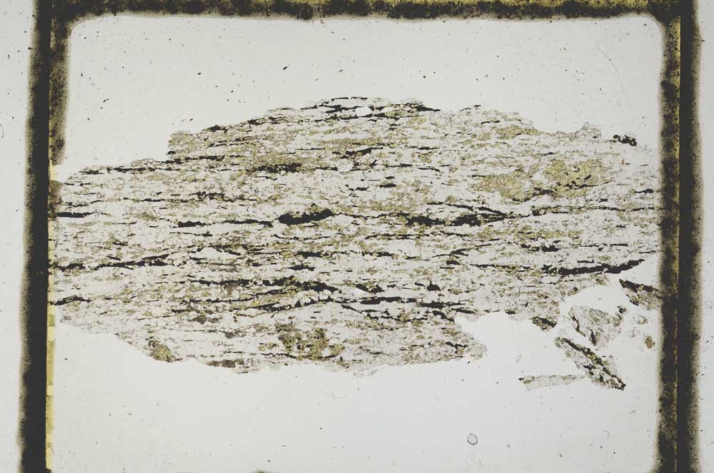 Plane Polarized, S3015