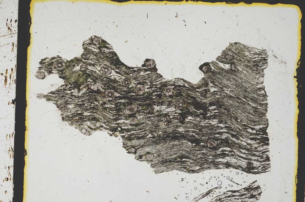 Plane Polarized, S3149