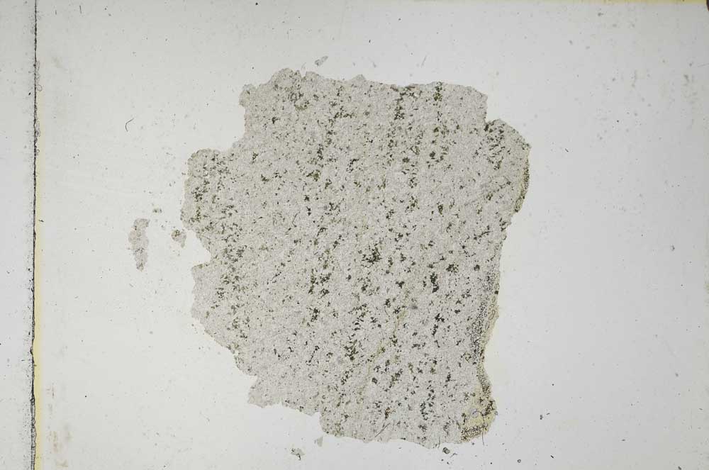 Plane Polarized, S3163