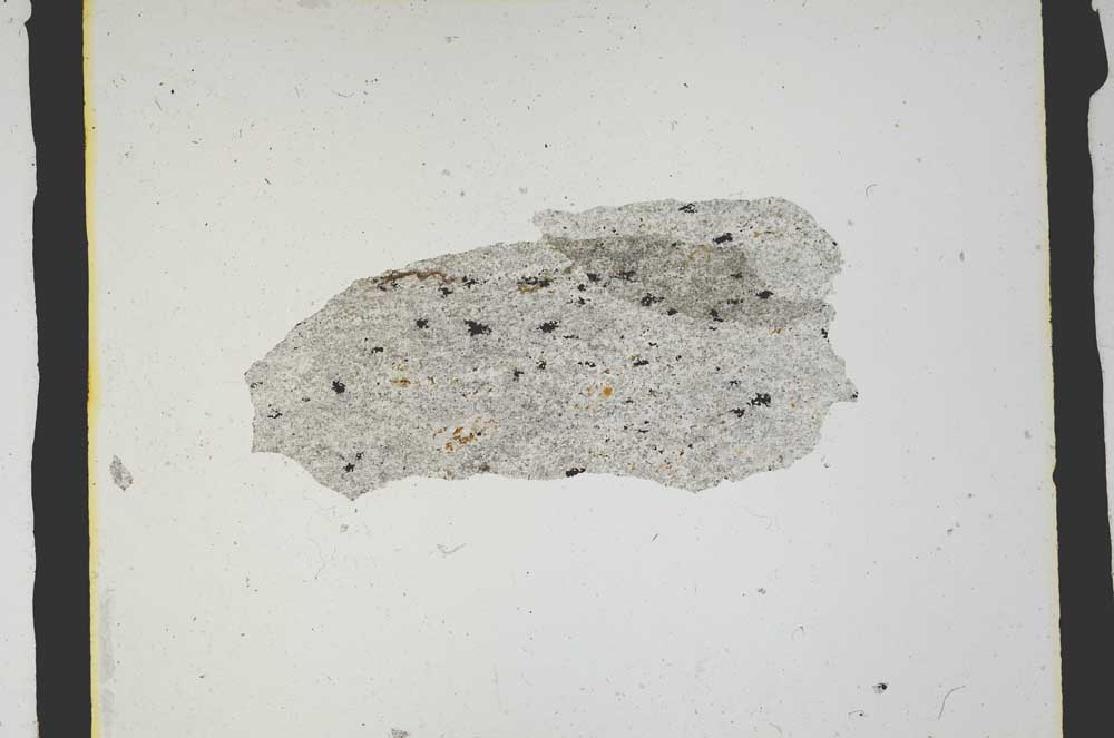 Plane Polarized, S3164