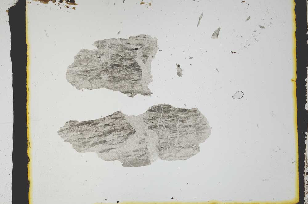 Plane Polarized, S3174