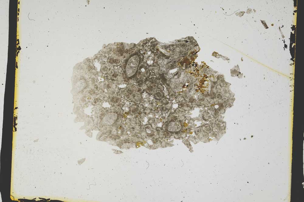 Plane Polarized, S3193