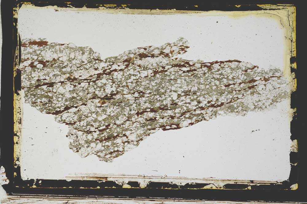 Plane Polarized, S3223