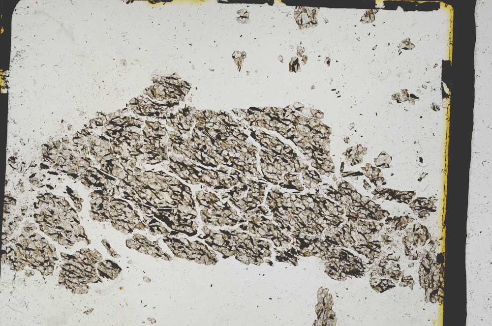 Plane Polarized, S3229