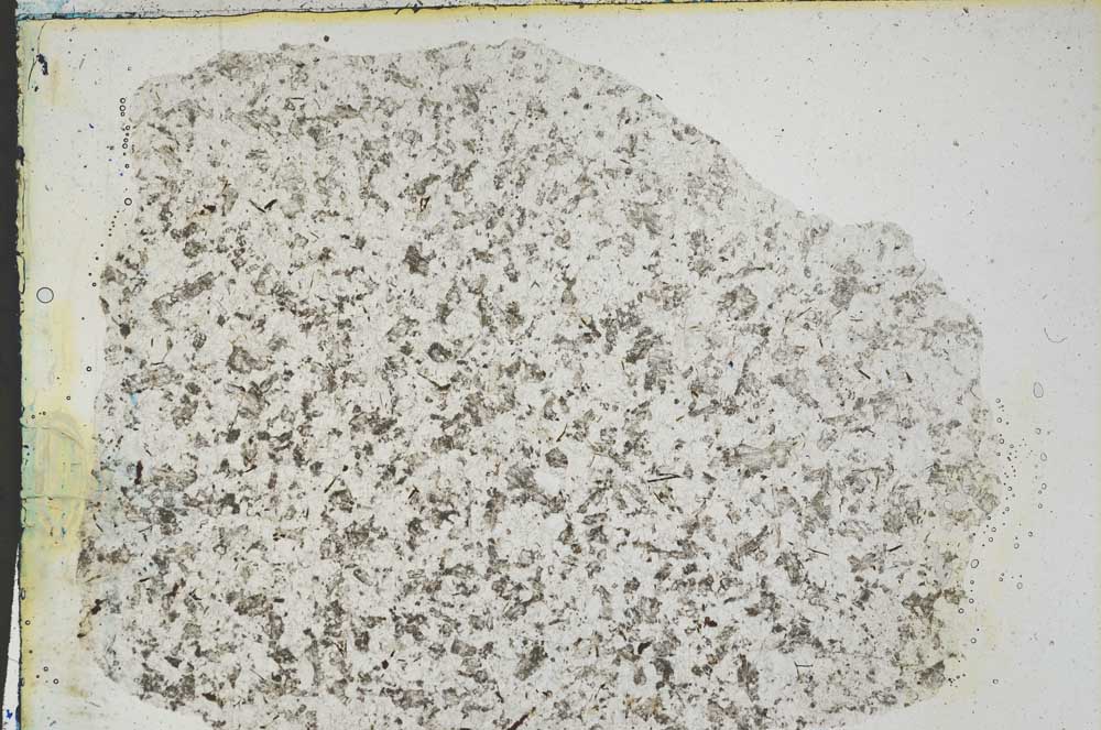 Plane Polarized, S3231