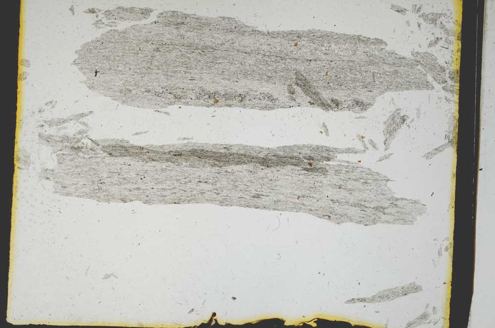 Plane Polarized, S3233