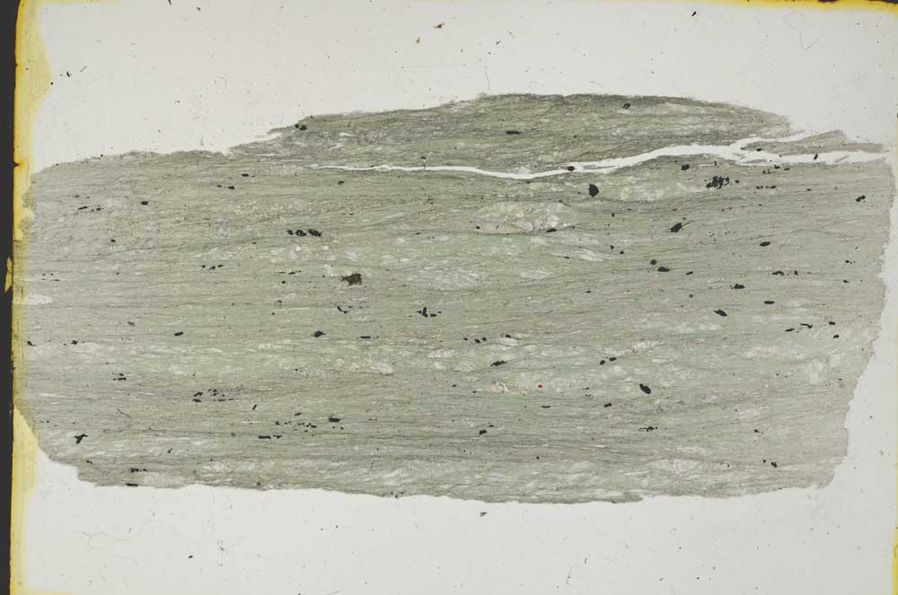 Plane Polarized, S3261