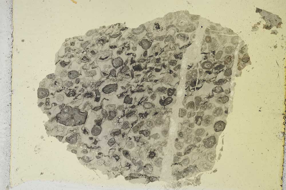 Plane Polarized, S3266