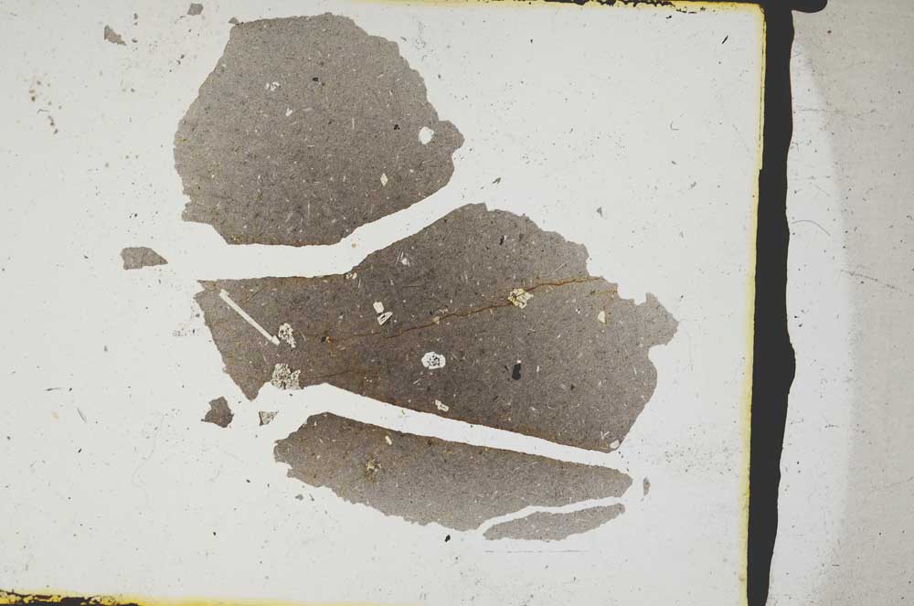 Plane Polarized, S3268