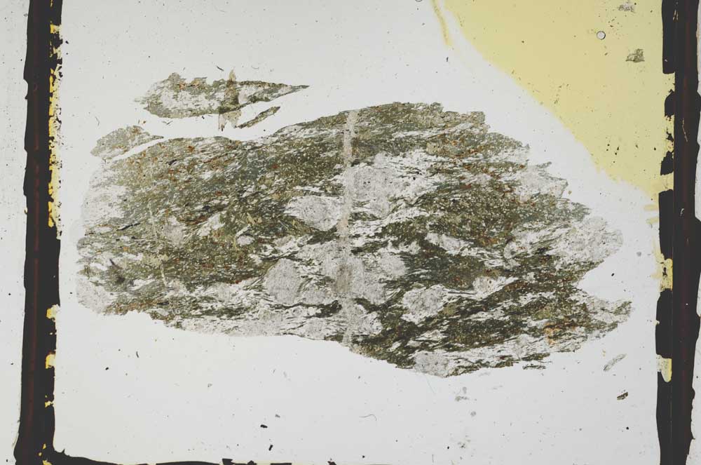Plane Polarized, S3279