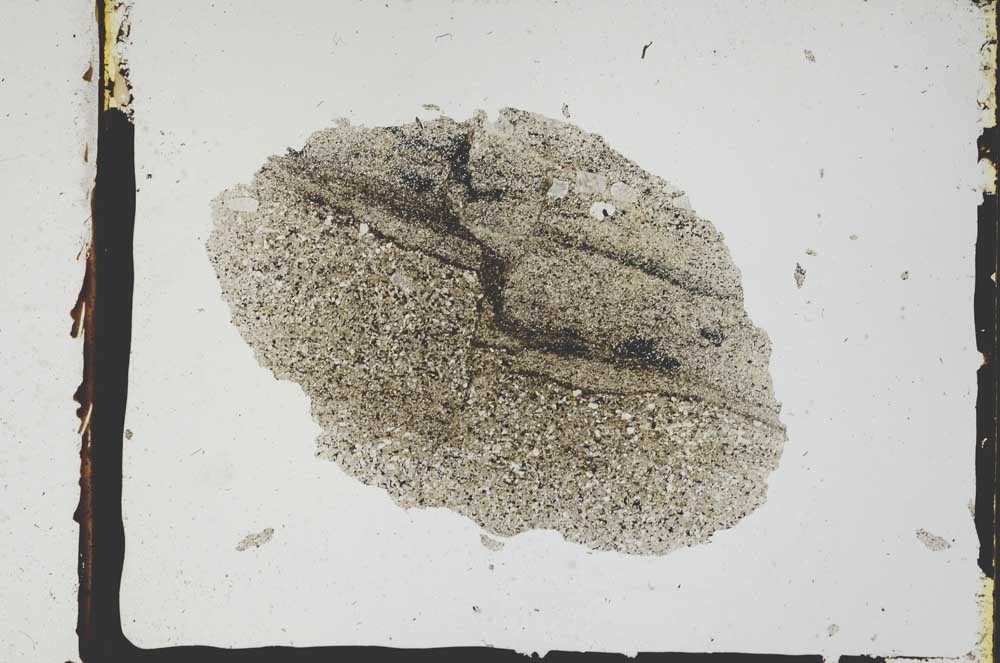 Plane Polarized, S3287