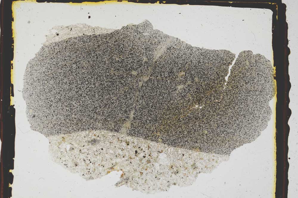 Plane Polarized, S3288