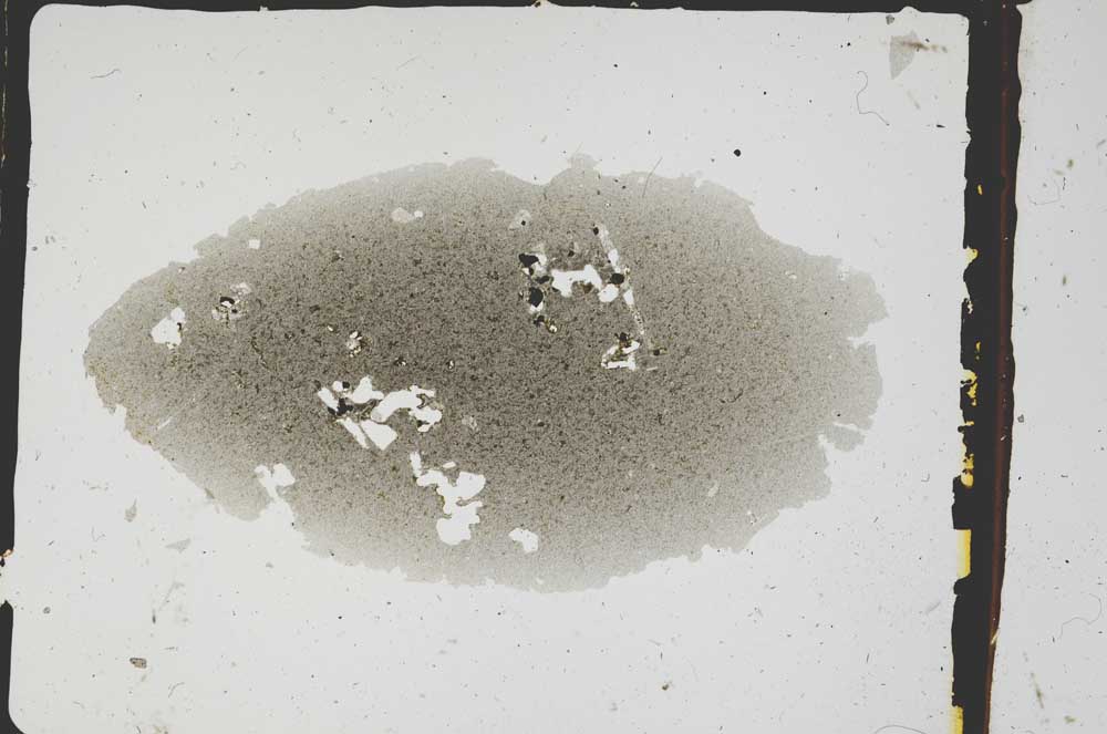 Plane Polarized, S3289