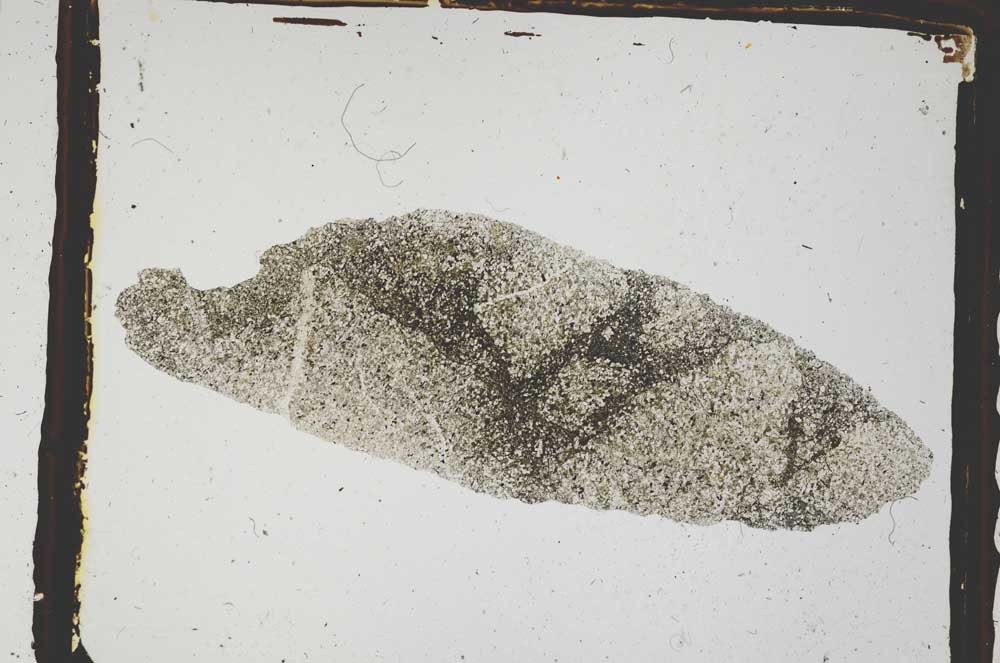 Plane Polarized, S3290