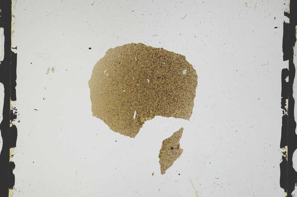 Plane Polarized, S3296