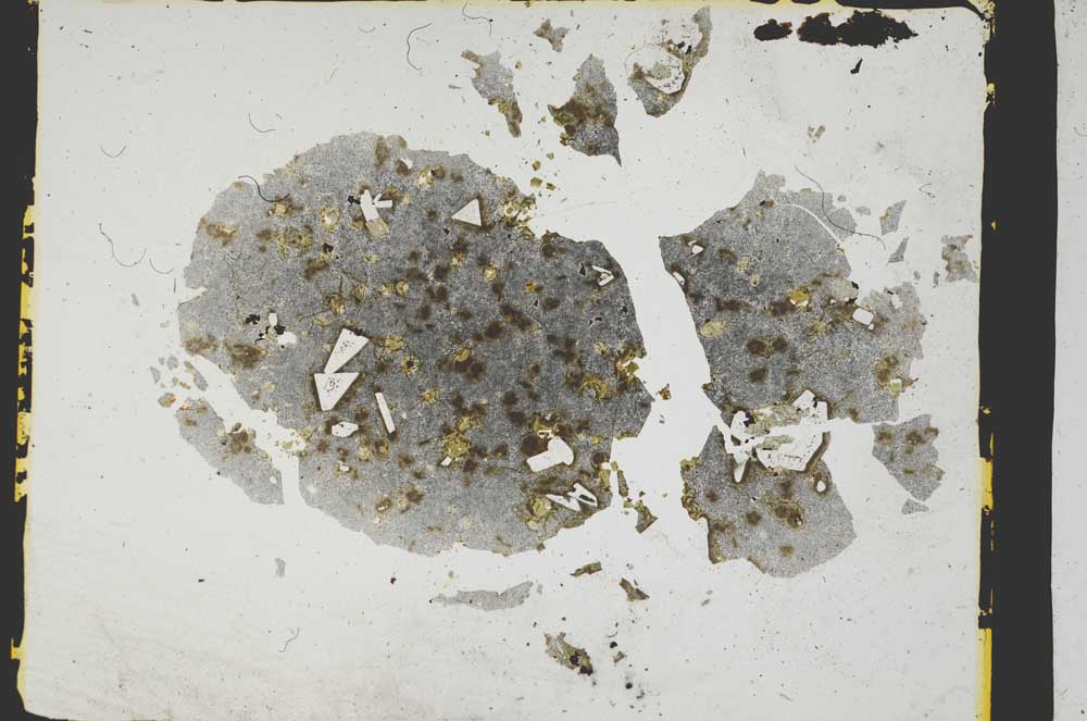 Plane Polarized, S3302/a