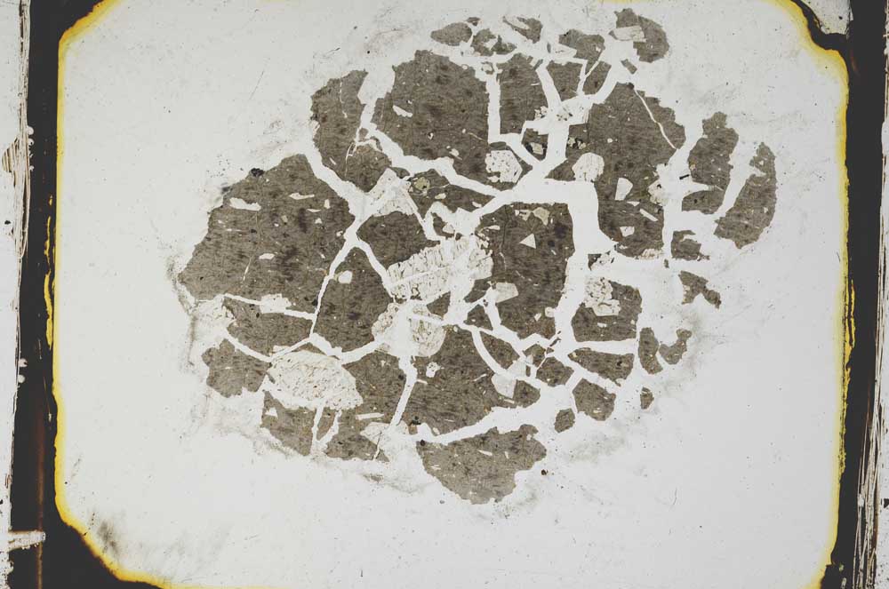 Plane Polarized, S3316