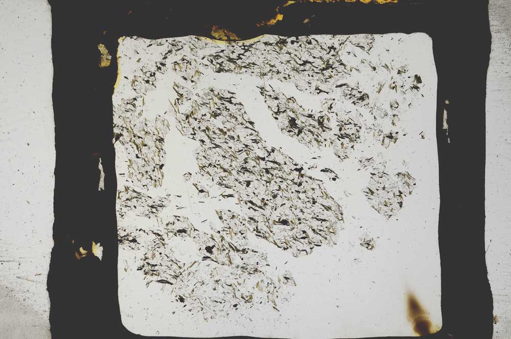 Plane Polarized, S3334