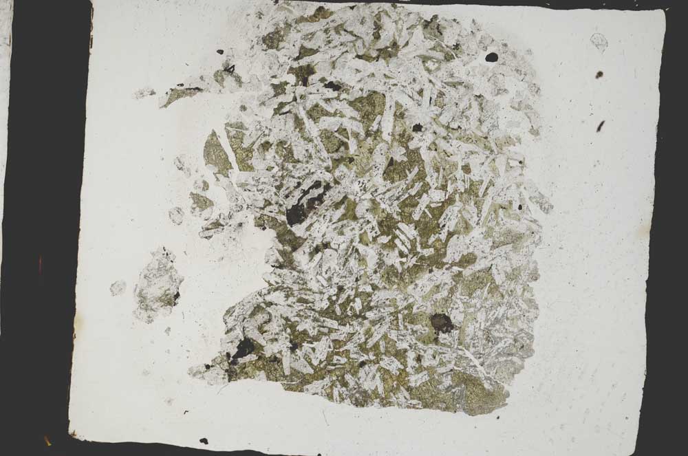 Plane Polarized, S3346