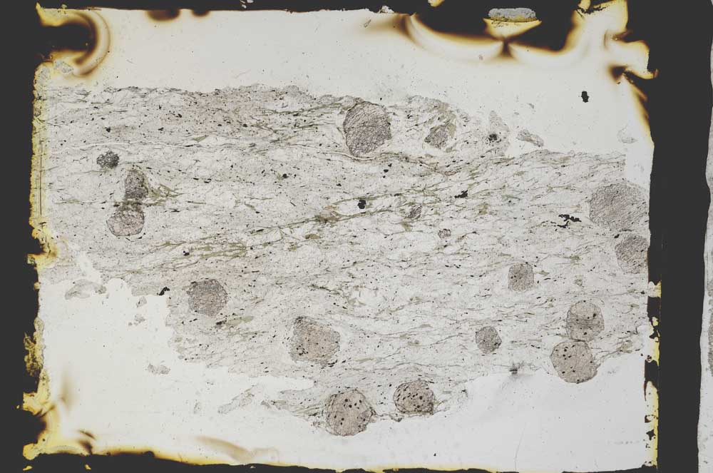 Plane Polarized, S3367