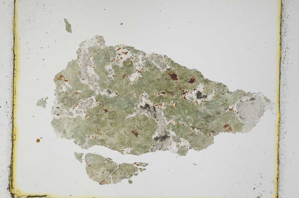 Plane Polarized, S3420