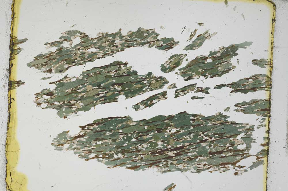 Plane Polarized, S3421