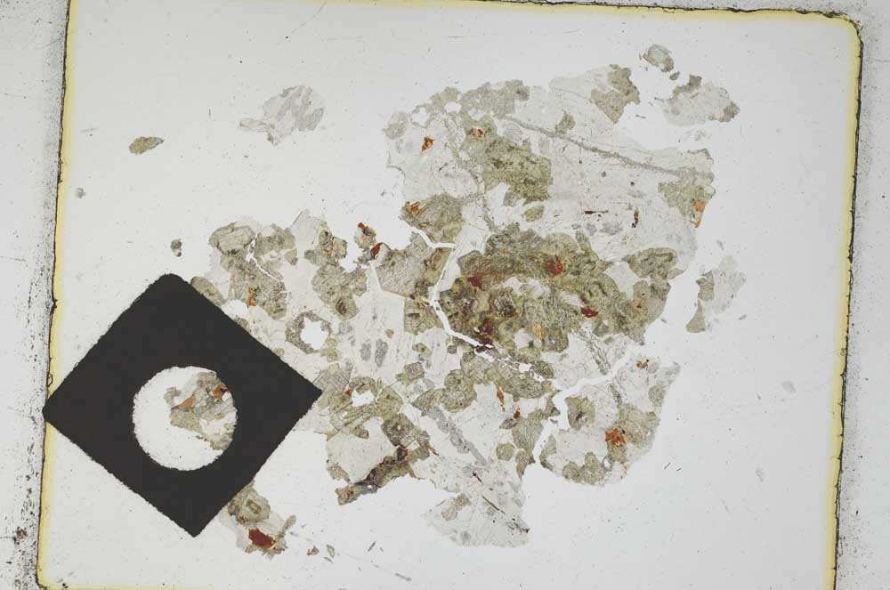 Plane Polarized, S3422