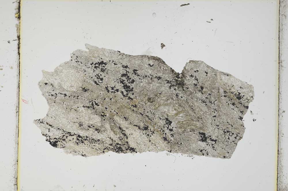 Plane Polarized, S3439