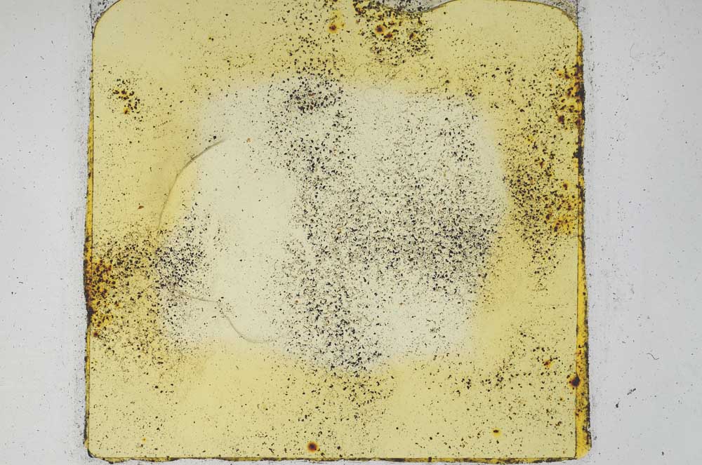 Plane Polarized, S3455/b