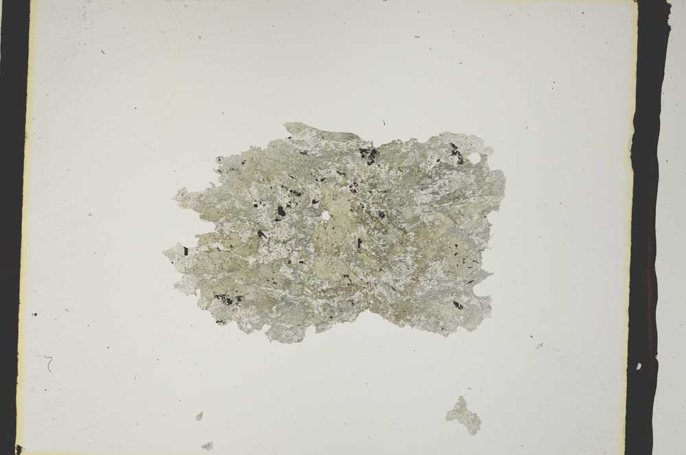 Plane Polarized, S3122