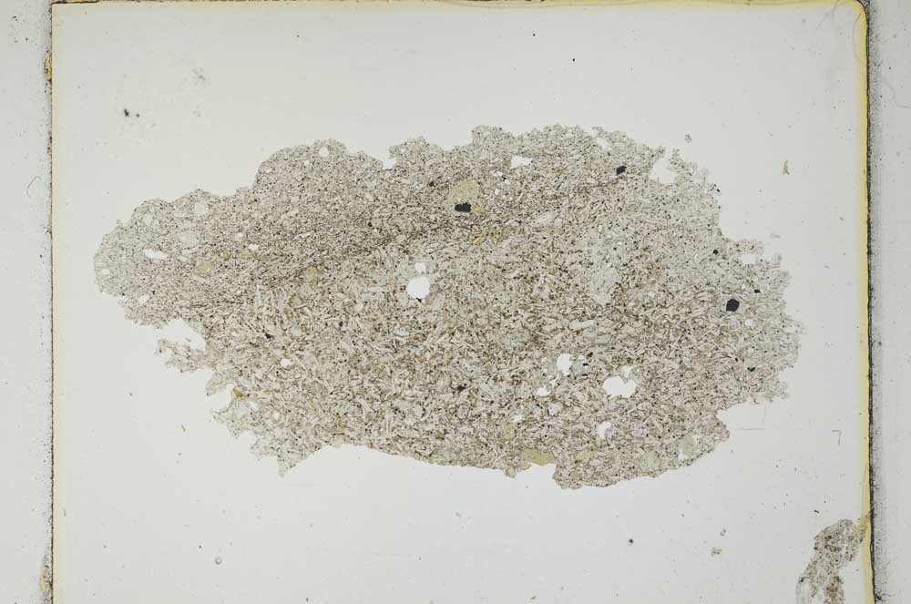 Plane Polarized, S3499