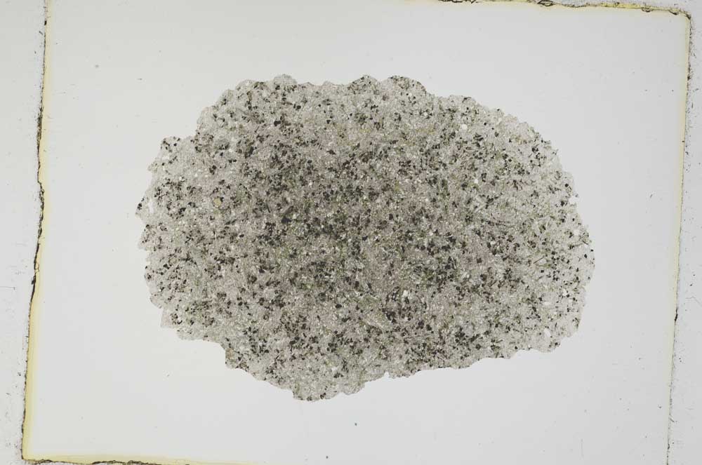 Plane Polarized, S3573