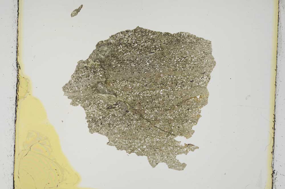 Plane Polarized, S3598