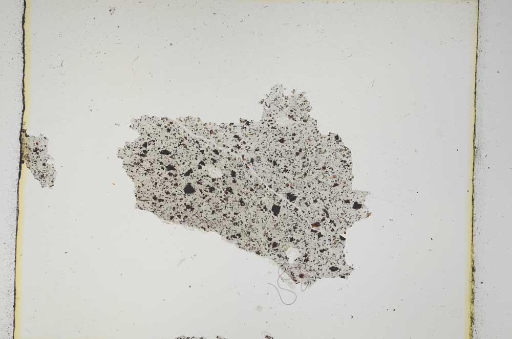 Plane Polarized, S3624