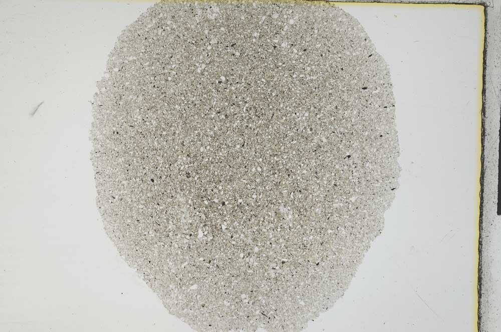 Plane Polarized, S3627