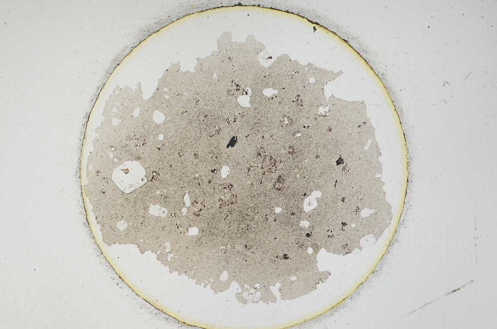 Plane Polarized, S3638