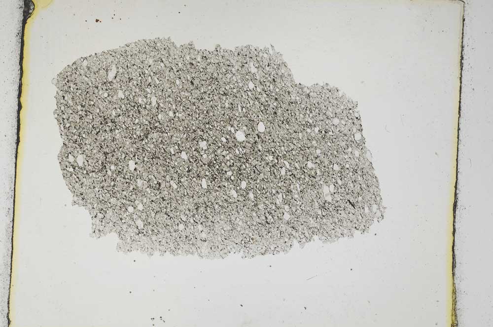 Plane Polarized, S3641