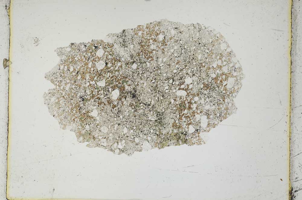 Plane Polarized, S3665