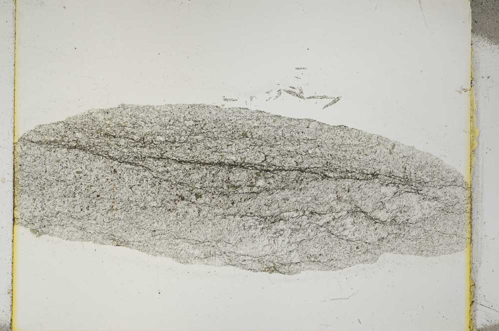 Plane Polarized, S3668