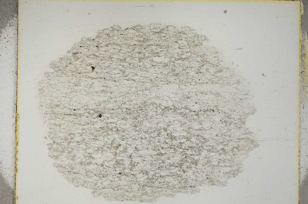 Plane Polarized, S3671