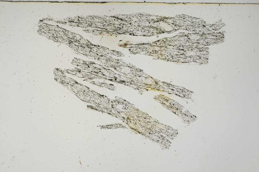 Plane Polarized, S3672