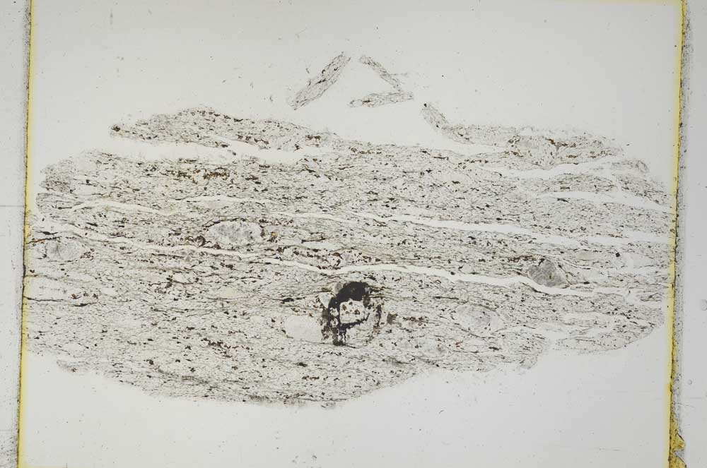 Plane Polarized, S3673