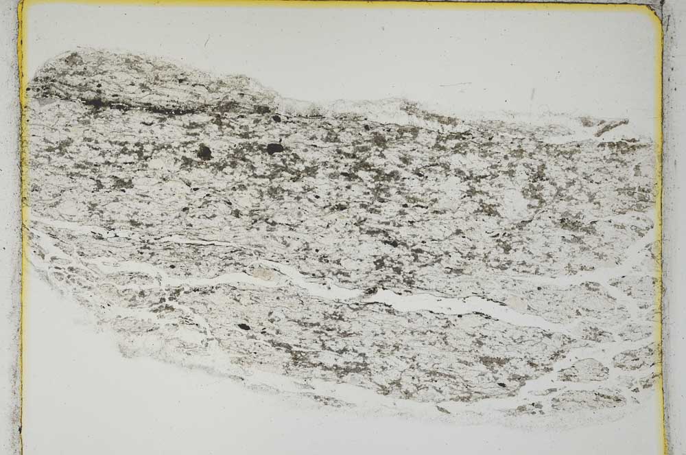 Plane Polarized, S3676