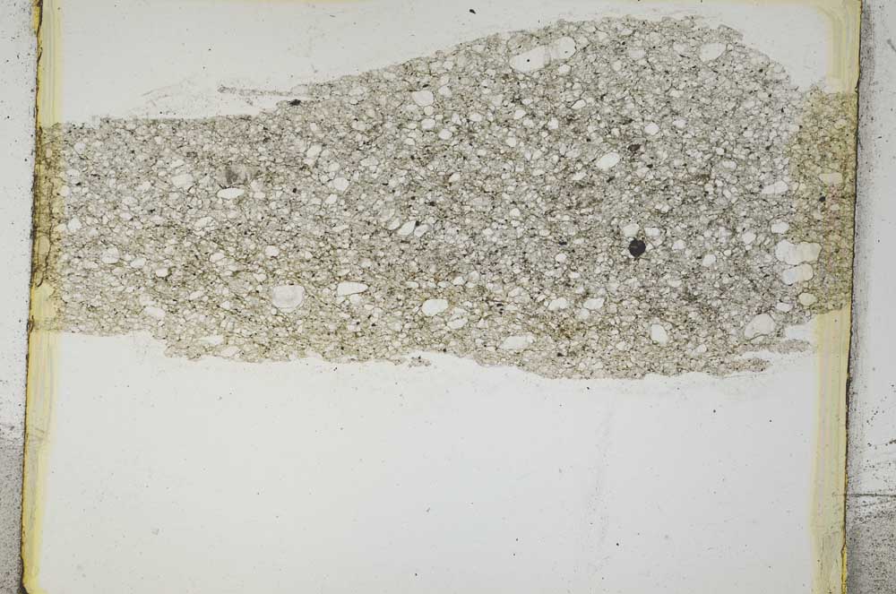 Plane Polarized, S3678
