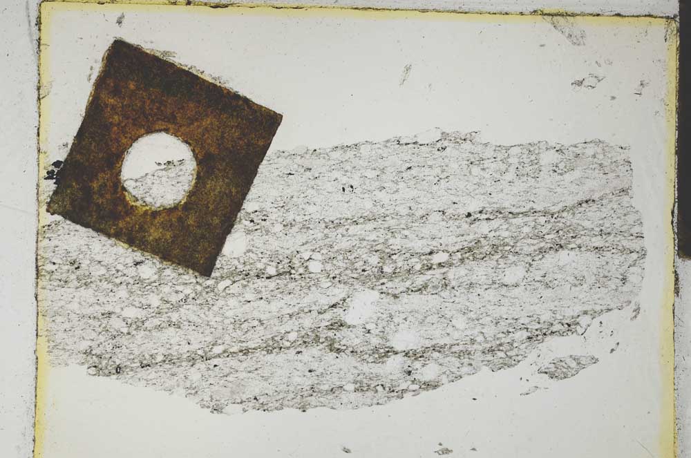 Plane Polarized, S3679