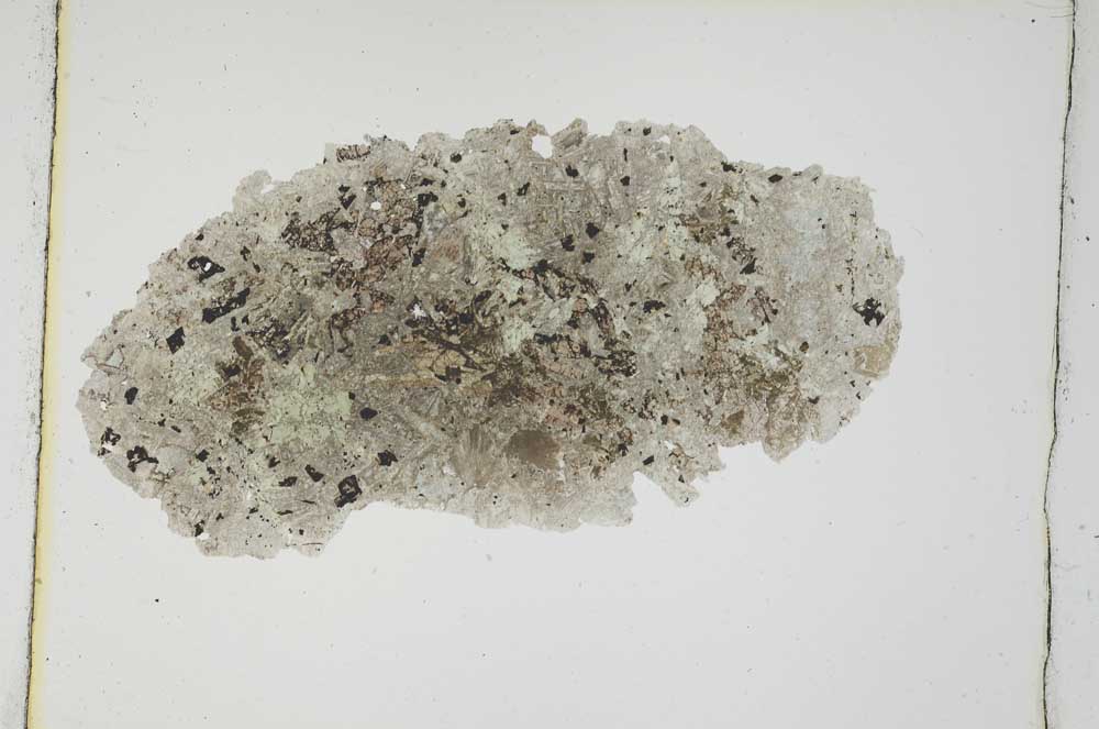 Plane Polarized, S3699