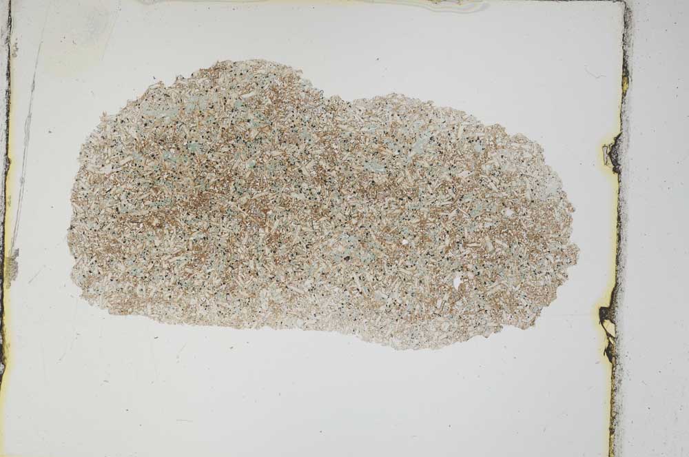 Plane Polarized, S3743