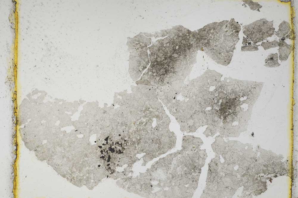 Plane Polarized, S3749